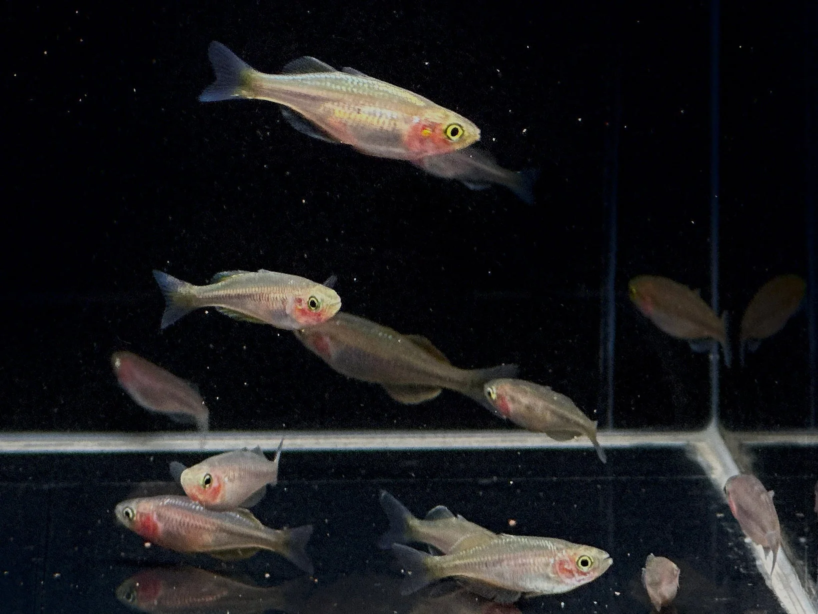 Lake Kurumoi Rainbow