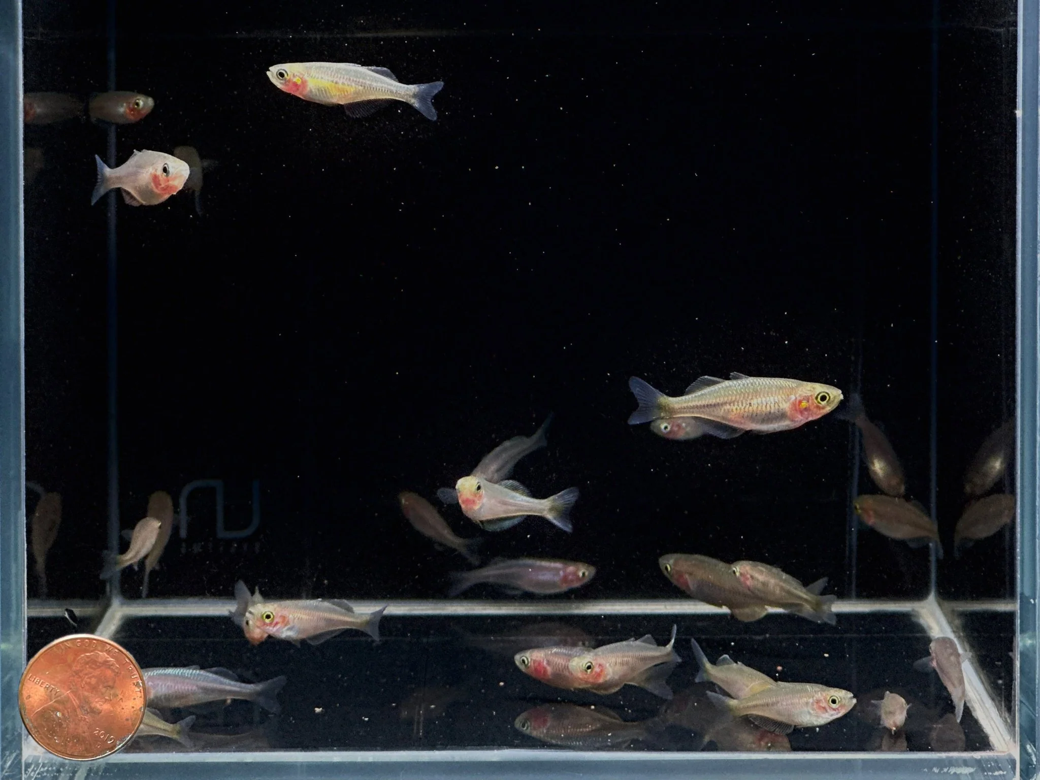 Lake Kurumoi Rainbow - Image 2